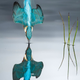 Illustration for article titled Wildlife Photo Contest Shows Nature Can Be Cruel—But Also Kind